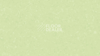 Линолеум Gerflor Mipolam Symbioz 6007 GARDEN фото 1 | FLOORDEALER